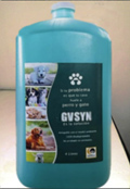 GV Syn